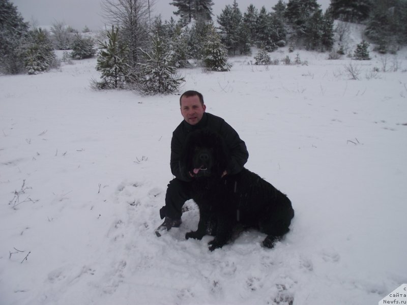 Фотография № 148317