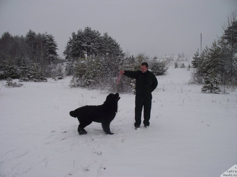 Фотография № 148318