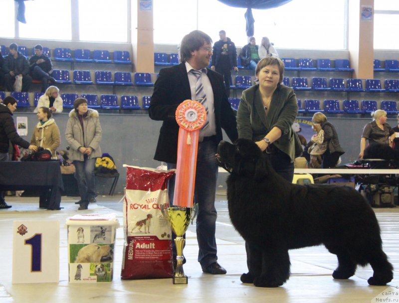 Фотография № 148337