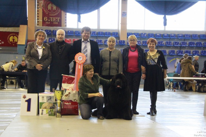 Фотография № 148345