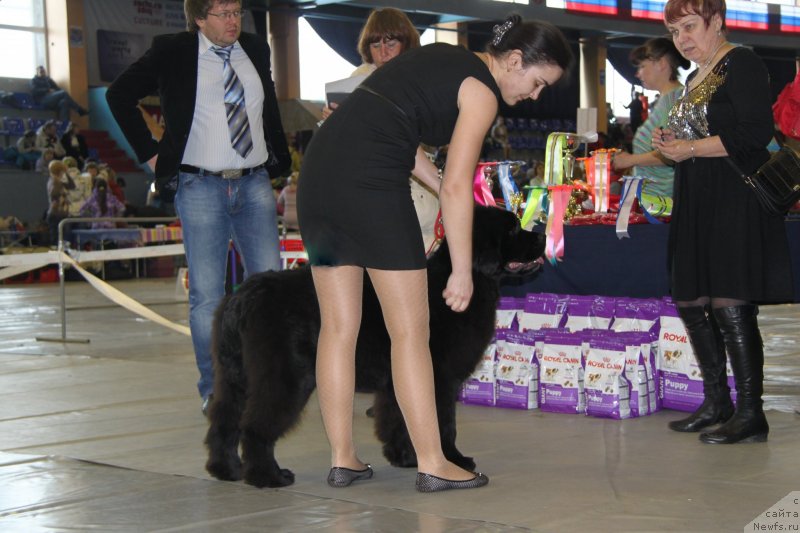 Фотография № 148347