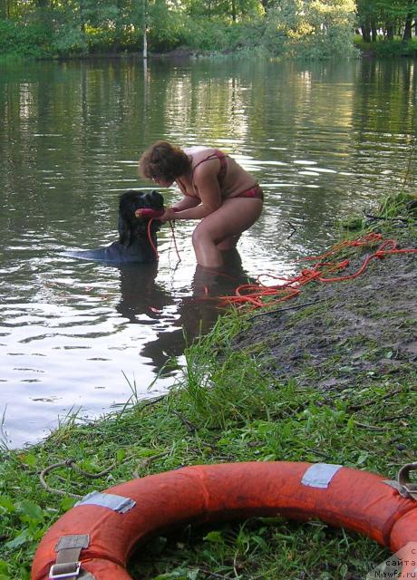 Фотография № 14837