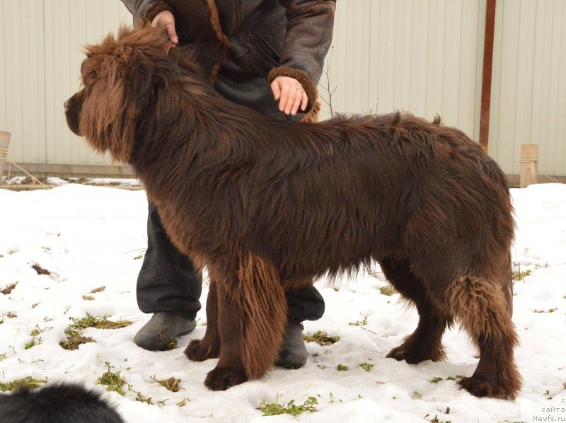 Фотография № 148374