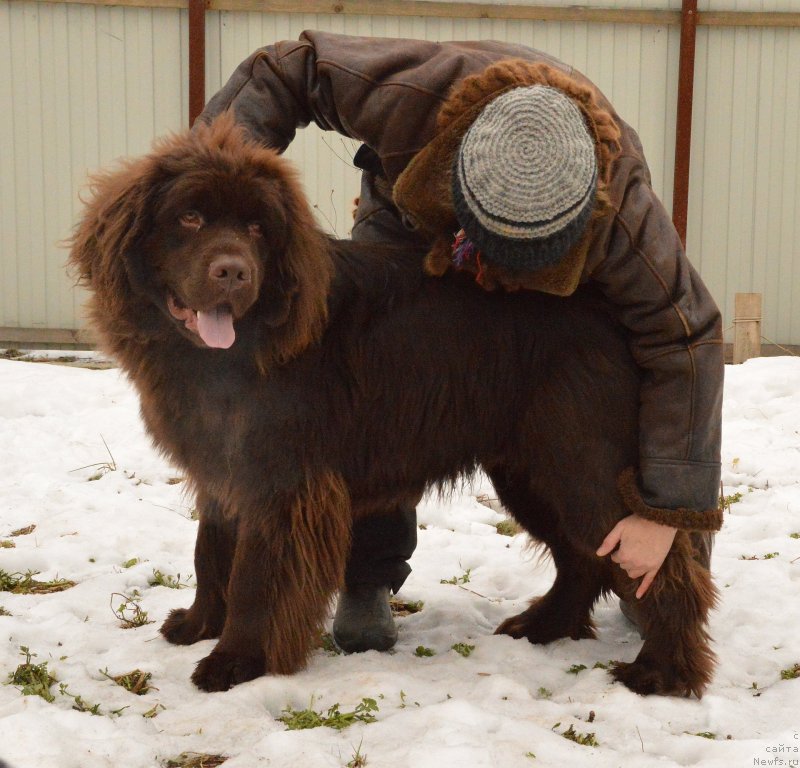 Фотография № 148375