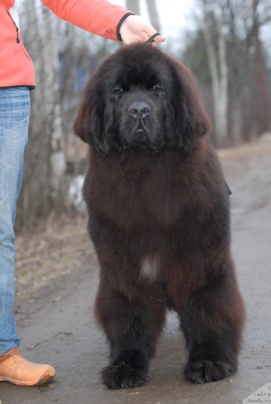 Фотография № 148396