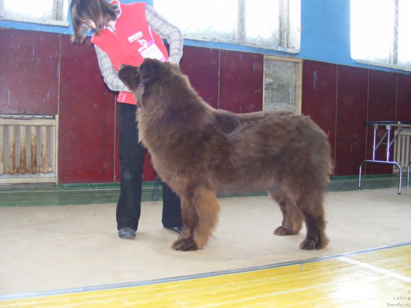 Фото: МОЯ БОГИНЯ ГЕРА ОТ МАРЛЕОН ДУСВИК