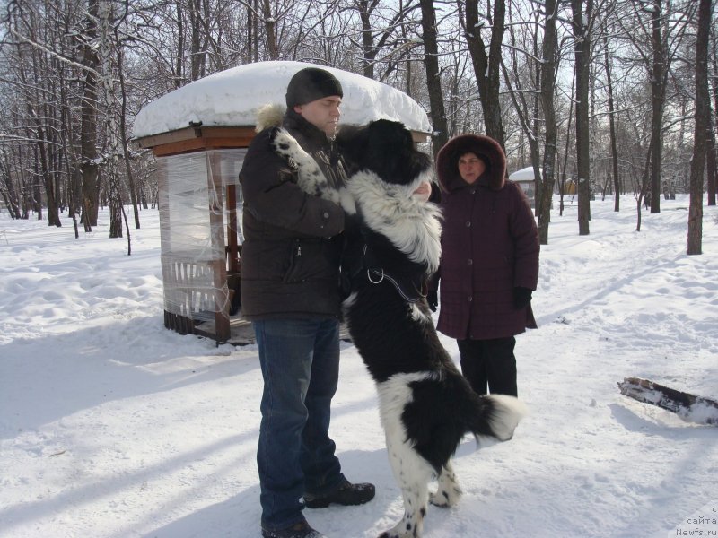 Фотография № 148419