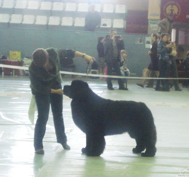 Фотография № 148429