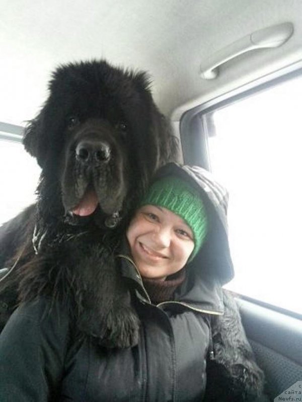 Фотография № 148454