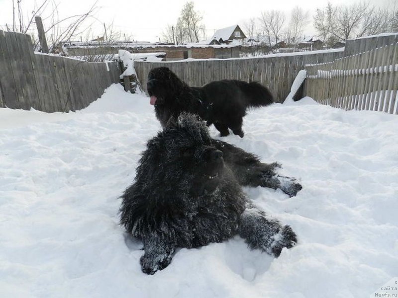 Фотография № 148455