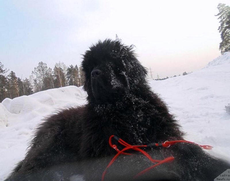 Фотография № 148459