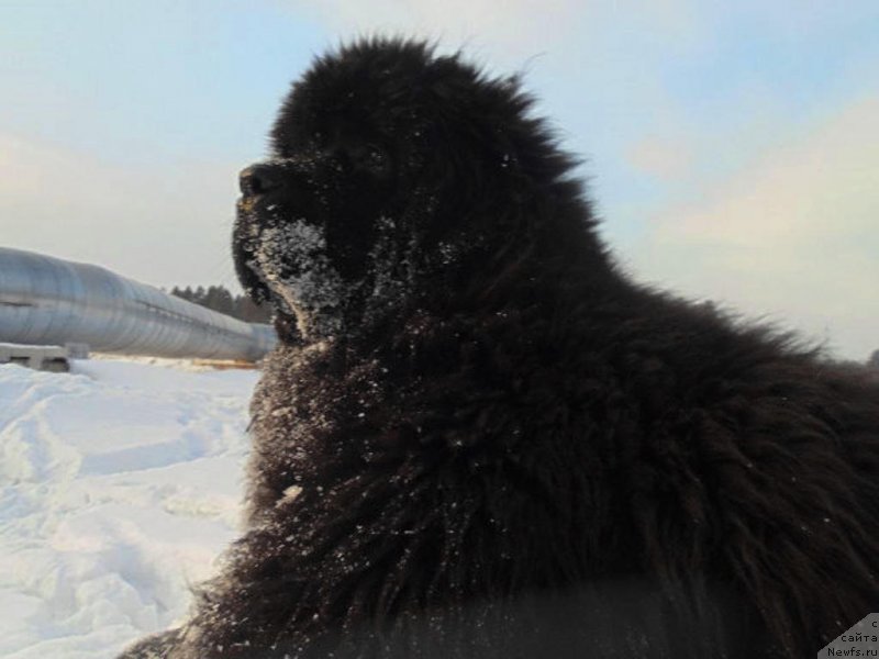 Фотография № 148460