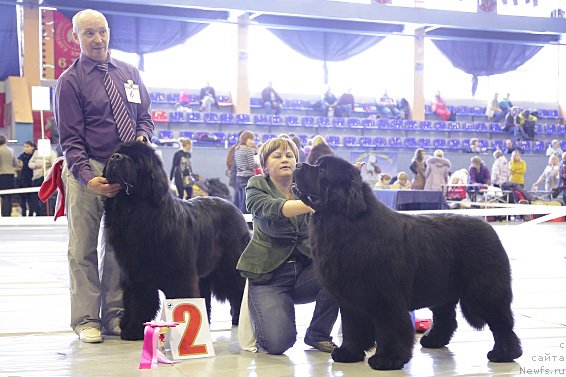 Фотография № 148483