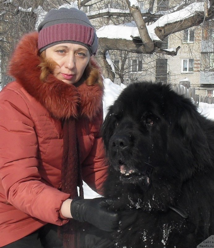 Фотография № 148490