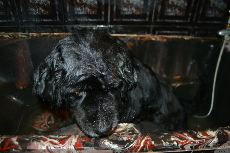 Фотография № 148493