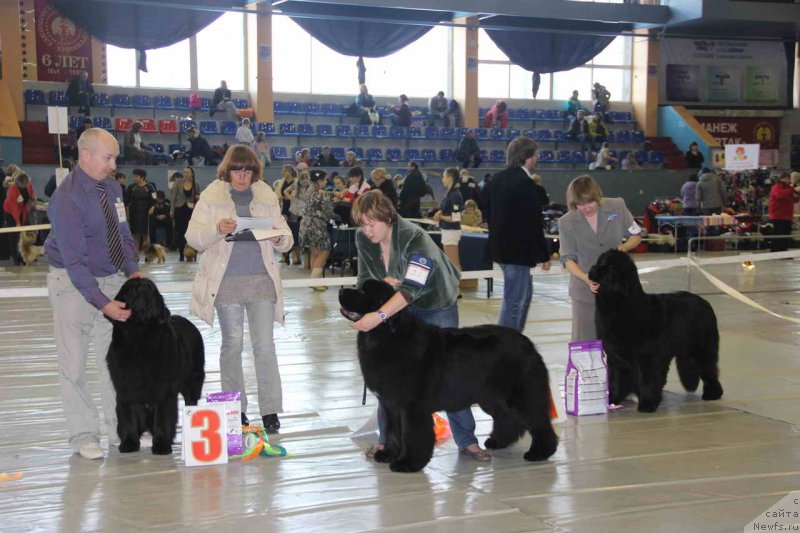 Фотография № 148499