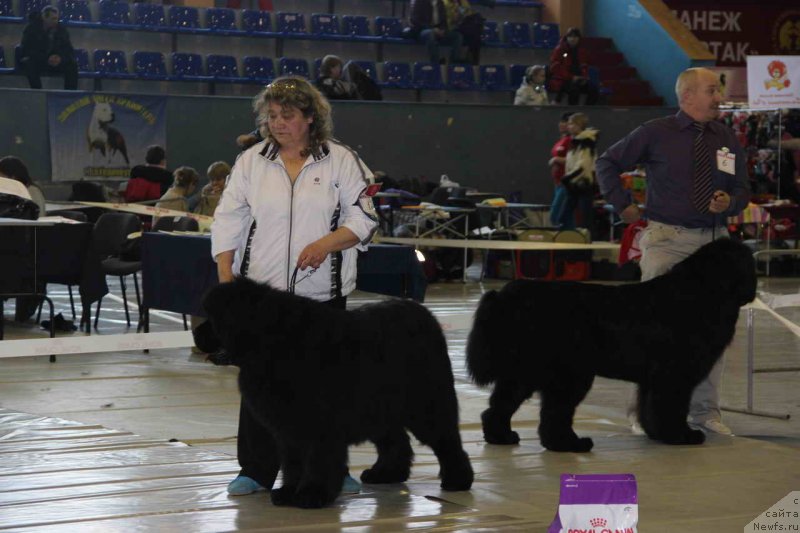 Фотография № 148501