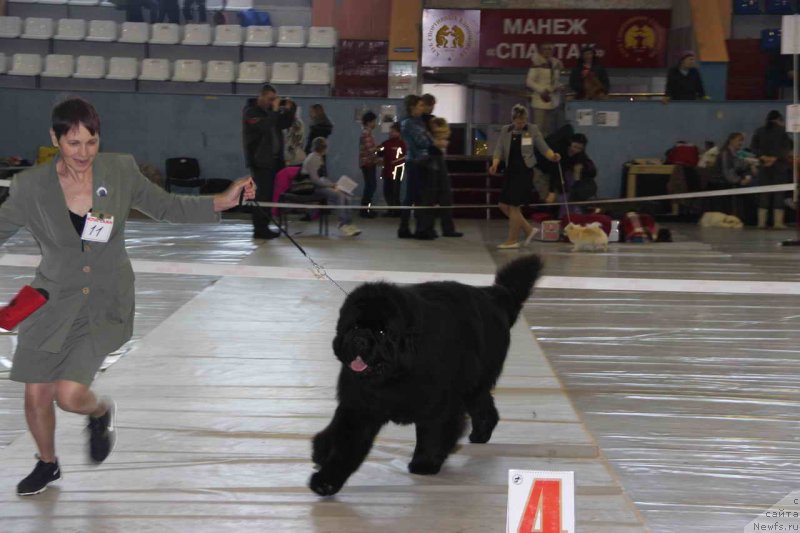 Фотография № 148502