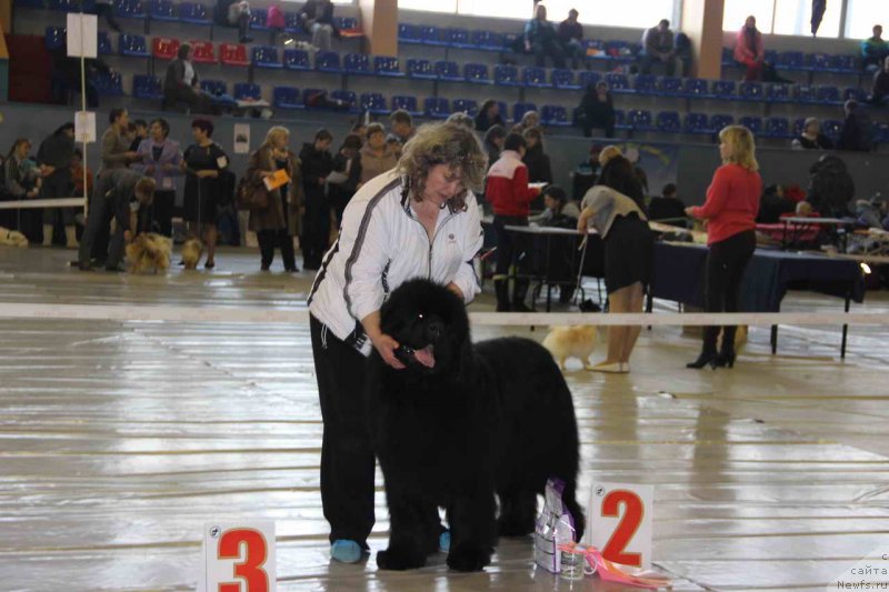 Фотография № 148503