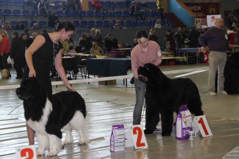 Фотография № 148504