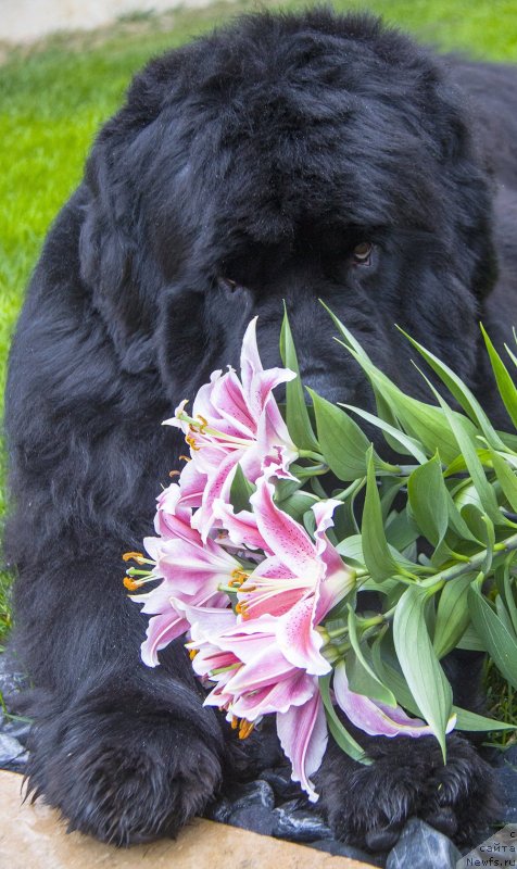 Фотография № 148568