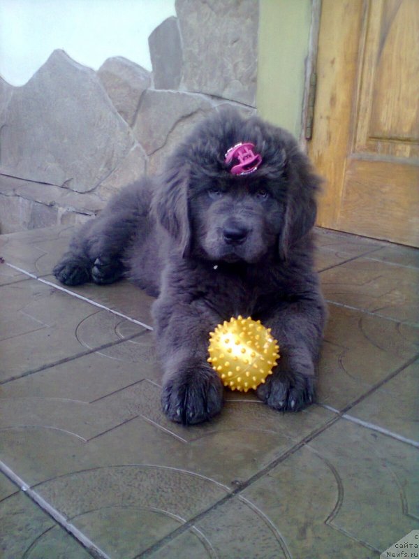 Фотография № 148592