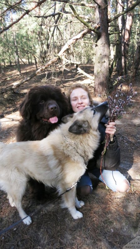 Фотография № 148595