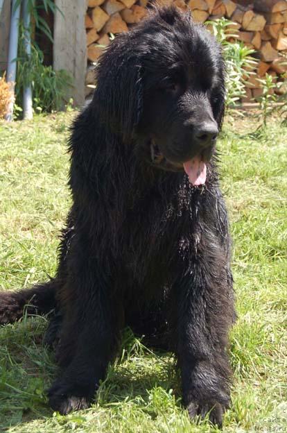 Фотография № 14860