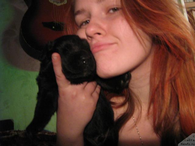 Фото: Понтий, единственный черненький сынок Моей девочки