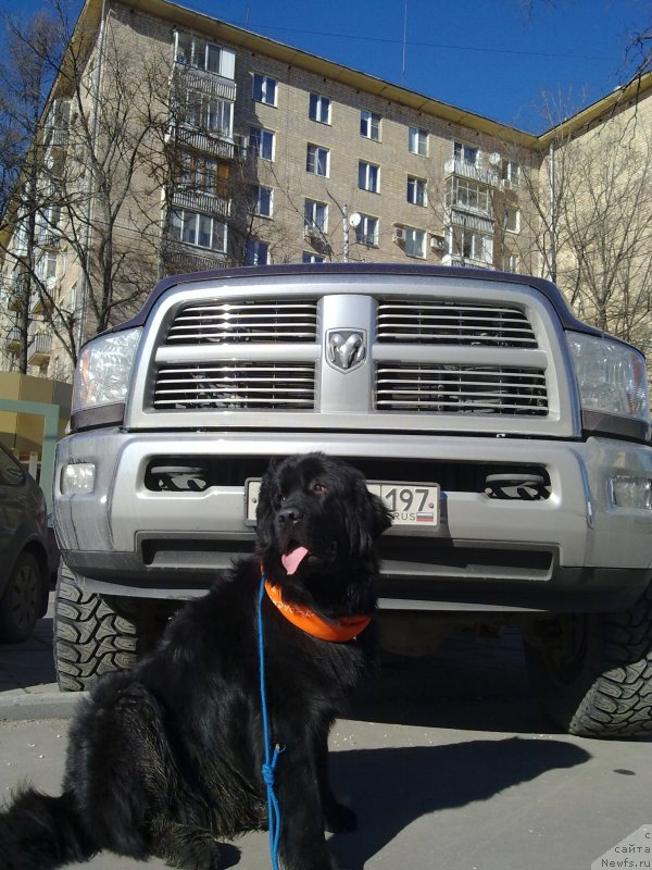 Фотография № 148762