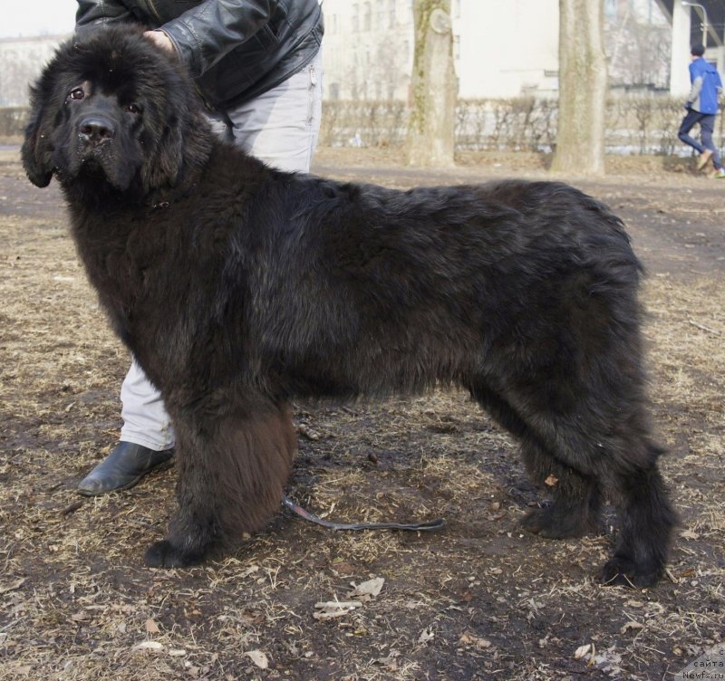 Фотография № 148764