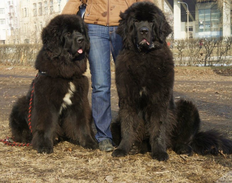 Фотография № 148767