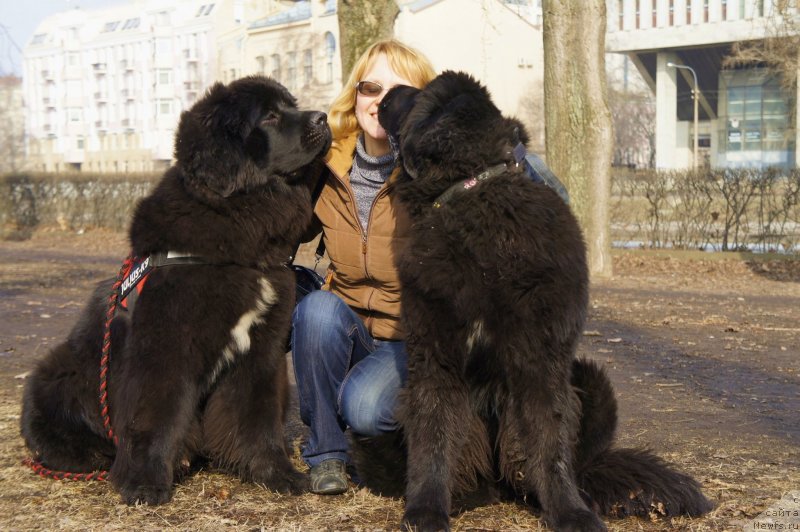 Фотография № 148770