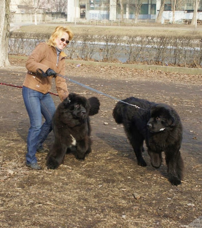 Фотография № 148771