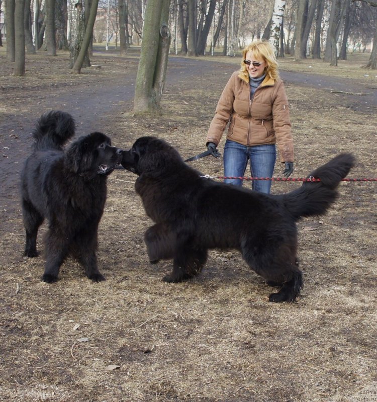 Фотография № 148772