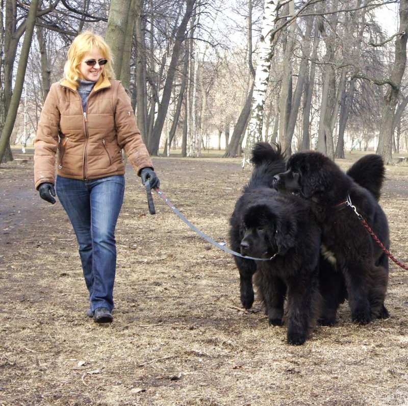 Фотография № 148773