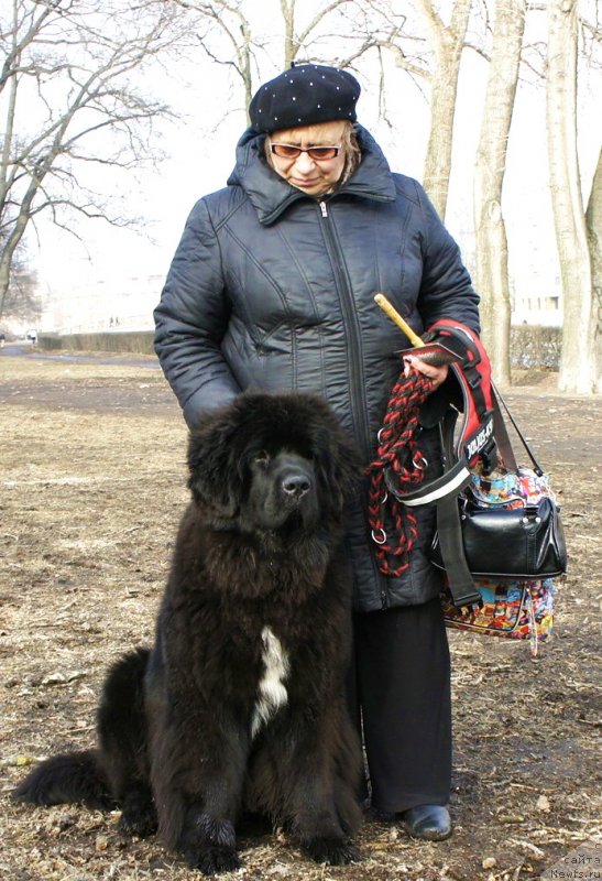 Фотография № 148774