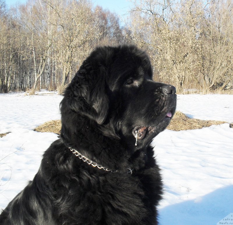 Фотография № 148789