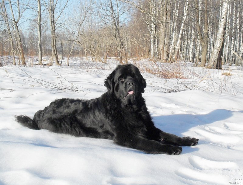 Фотография № 148790