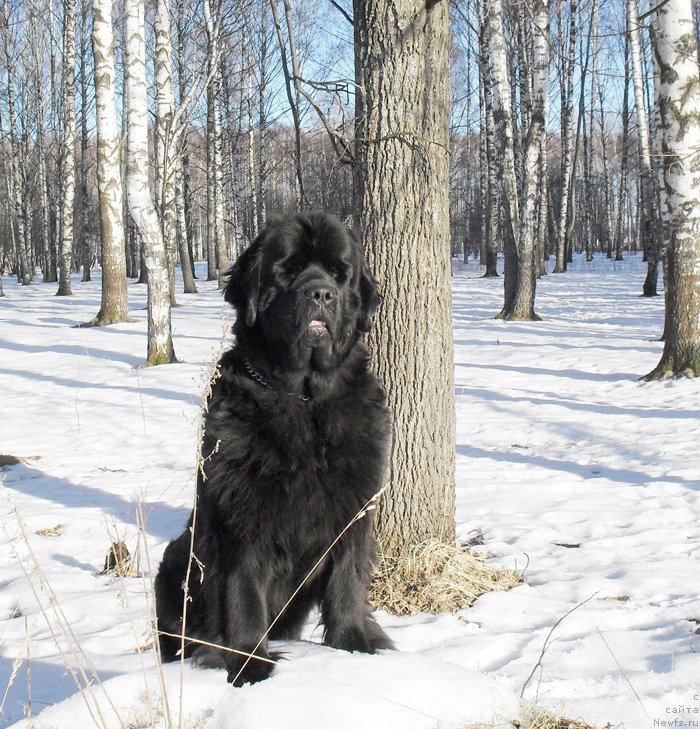 Фотография № 148792