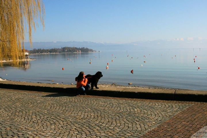 Фотография № 148794