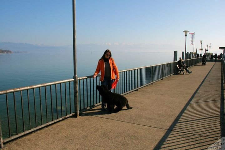 Фотография № 148795