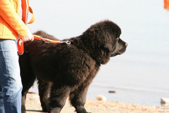 Фотография № 148796