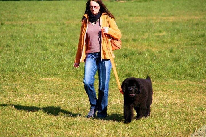 Фотография № 148797