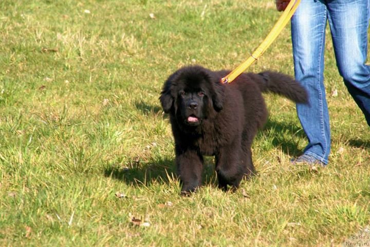 Фотография № 148798