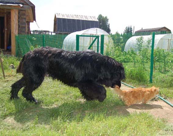 Фотография № 14880