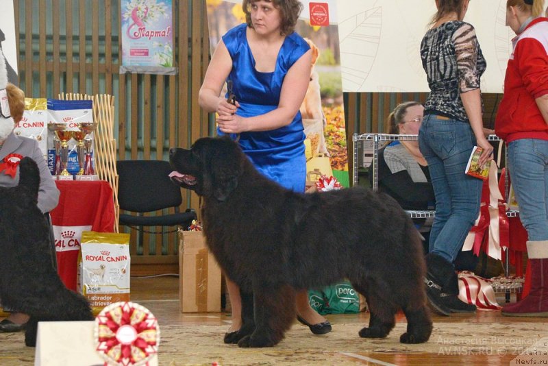 Фотография № 148818