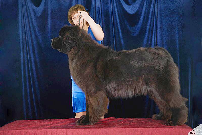 Фотография № 148903