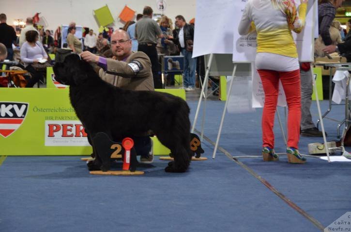 Фотография № 148942