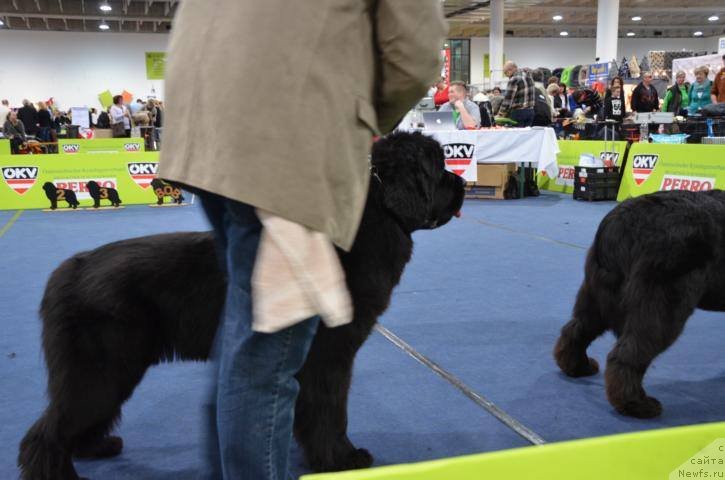 Фотография № 148943